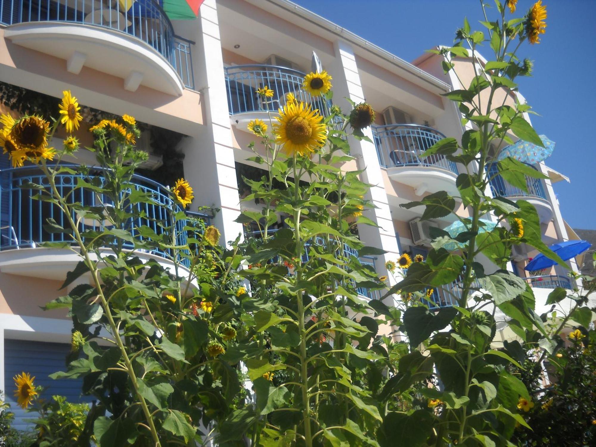Olive Bay Hotel Ajía Effimía Kültér fotó